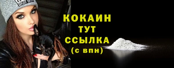 гашик Балахна