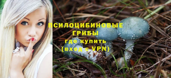 крисы Армянск