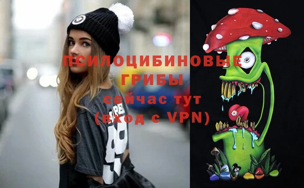 крисы Армянск